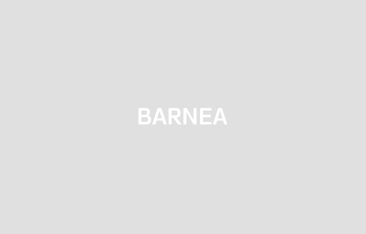 Barnea & Co.